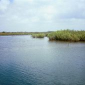  Placencia, Belize